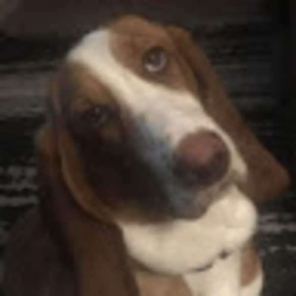 Meet your Posher, Nancy - Picture 1 of 1